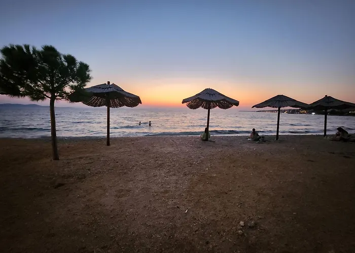 Апартаменты Dolphins Eye *